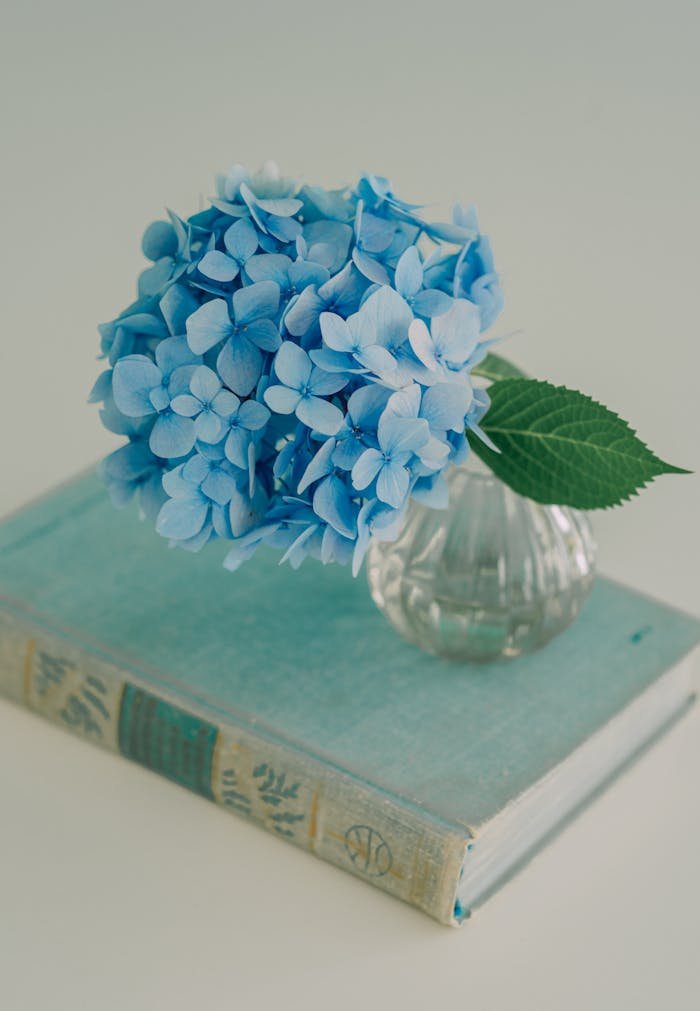 Blue hydrangea flower in glass vase on a vintage book, perfect for decor inspiration.